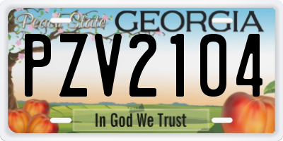 GA license plate PZV2104