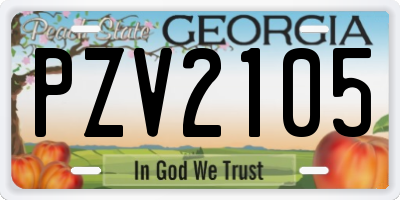 GA license plate PZV2105