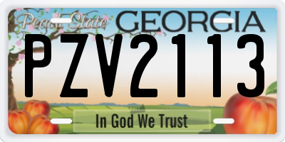 GA license plate PZV2113