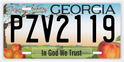 GA license plate PZV2119