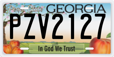GA license plate PZV2127