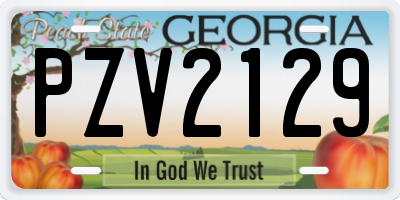 GA license plate PZV2129