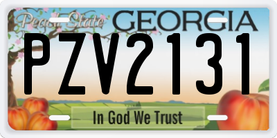GA license plate PZV2131