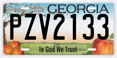 GA license plate PZV2133