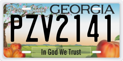 GA license plate PZV2141