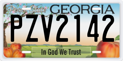 GA license plate PZV2142