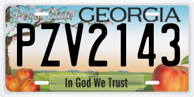 GA license plate PZV2143