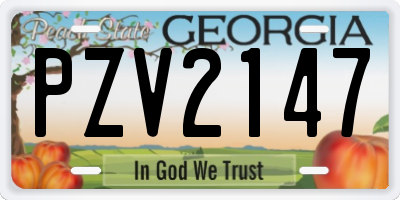 GA license plate PZV2147