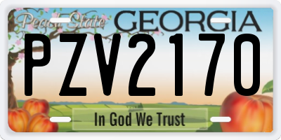 GA license plate PZV2170