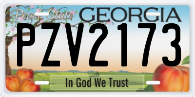GA license plate PZV2173