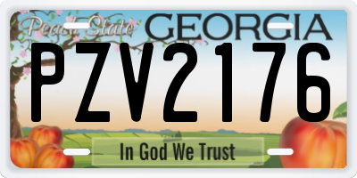 GA license plate PZV2176