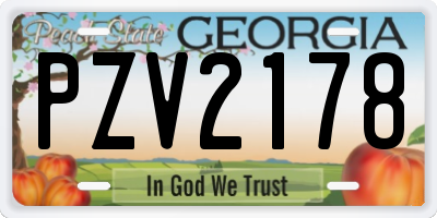 GA license plate PZV2178