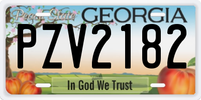 GA license plate PZV2182