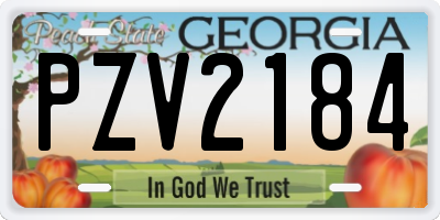 GA license plate PZV2184