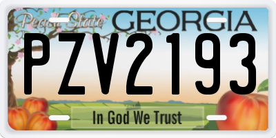 GA license plate PZV2193