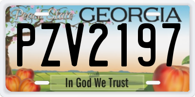 GA license plate PZV2197