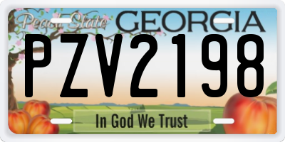 GA license plate PZV2198