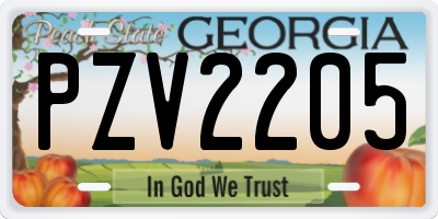 GA license plate PZV2205