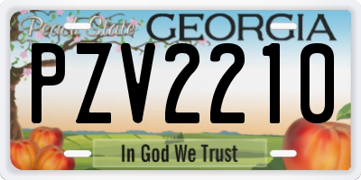 GA license plate PZV2210