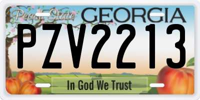 GA license plate PZV2213
