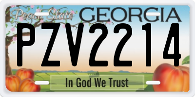GA license plate PZV2214