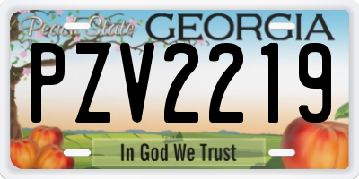 GA license plate PZV2219
