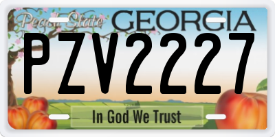 GA license plate PZV2227