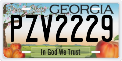 GA license plate PZV2229