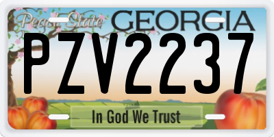 GA license plate PZV2237