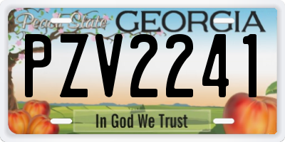 GA license plate PZV2241