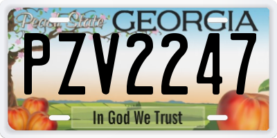 GA license plate PZV2247
