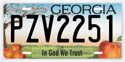 GA license plate PZV2251