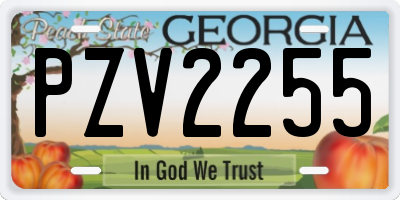 GA license plate PZV2255