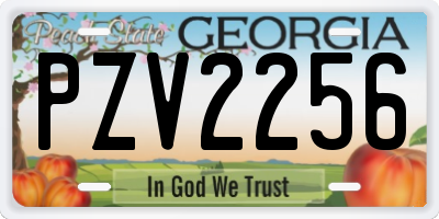 GA license plate PZV2256