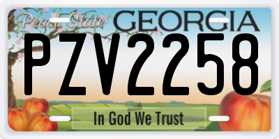 GA license plate PZV2258
