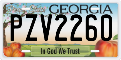 GA license plate PZV2260