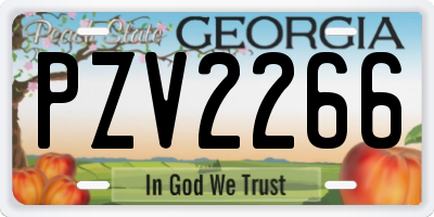 GA license plate PZV2266