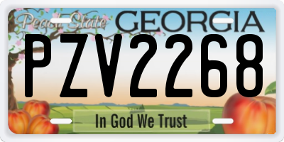 GA license plate PZV2268