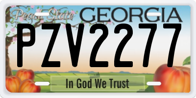 GA license plate PZV2277