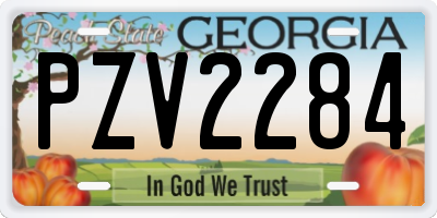 GA license plate PZV2284