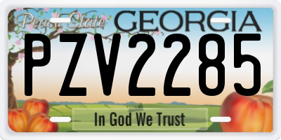 GA license plate PZV2285
