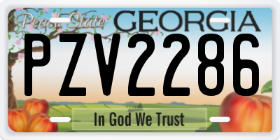 GA license plate PZV2286