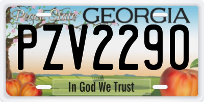 GA license plate PZV2290