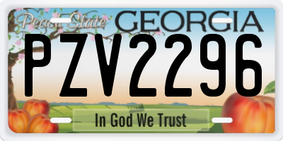 GA license plate PZV2296