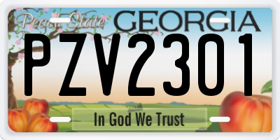 GA license plate PZV2301