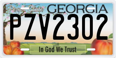 GA license plate PZV2302