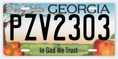 GA license plate PZV2303