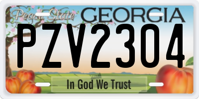 GA license plate PZV2304