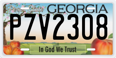 GA license plate PZV2308
