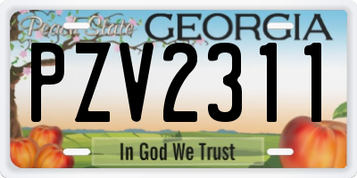 GA license plate PZV2311